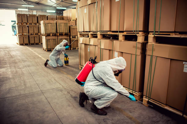 Best Pest Control Near Me in Brevard, NC